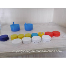 Many Kinds of Plastic Injection Cap Mould (YS307)